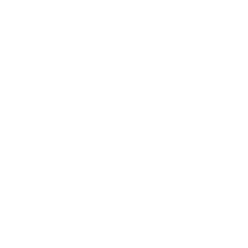 Icon of braces as part of our Kiddo Expert services