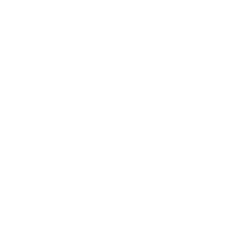 Icon of braces as part of our Kiddo Expert services