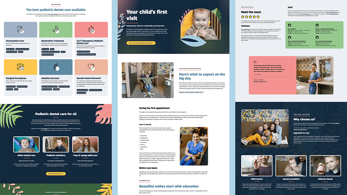 Preview screen of new HCPD website