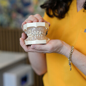 Dentist holding teeth model